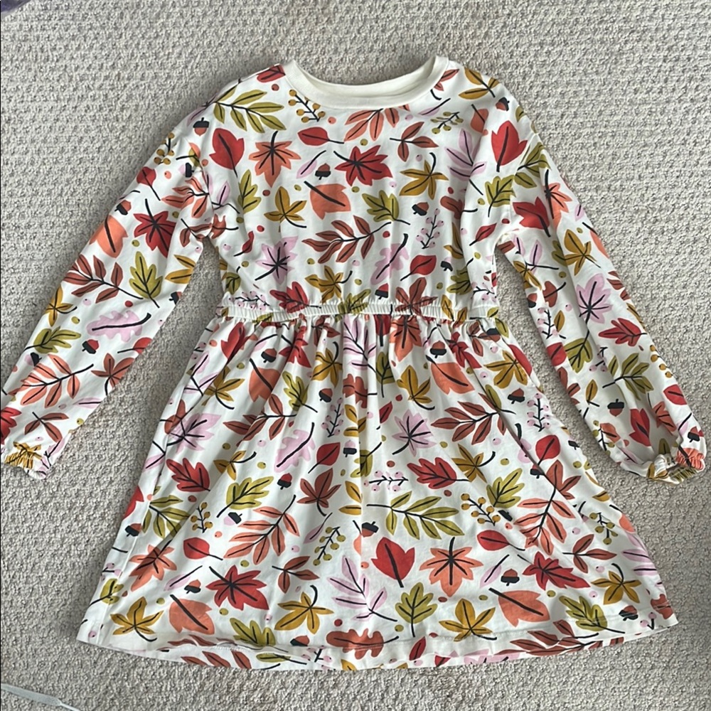 Colorful Hanna Andersson Fall Print Dress